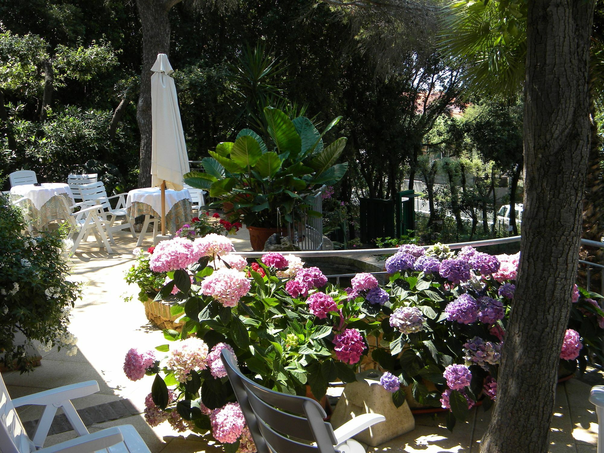 Hotel La Rosa Del Tirreno Livorno Bagian luar foto